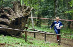 Orienteering in Foresta Umbra