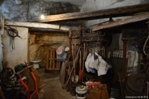 Il trappeto  De Simone (ph: Domenico S. Antonacci)